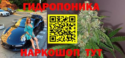 крисы Краснодар